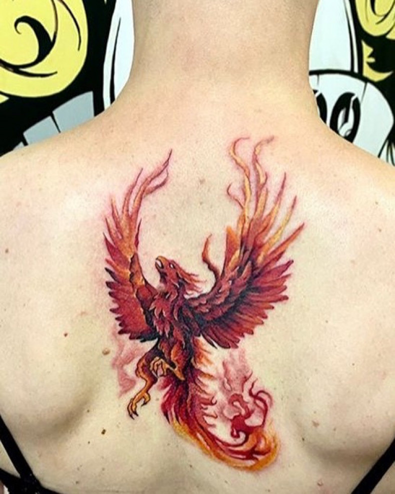 Firebird back phoenix, photo - Tattoo Master Barb Tattoo