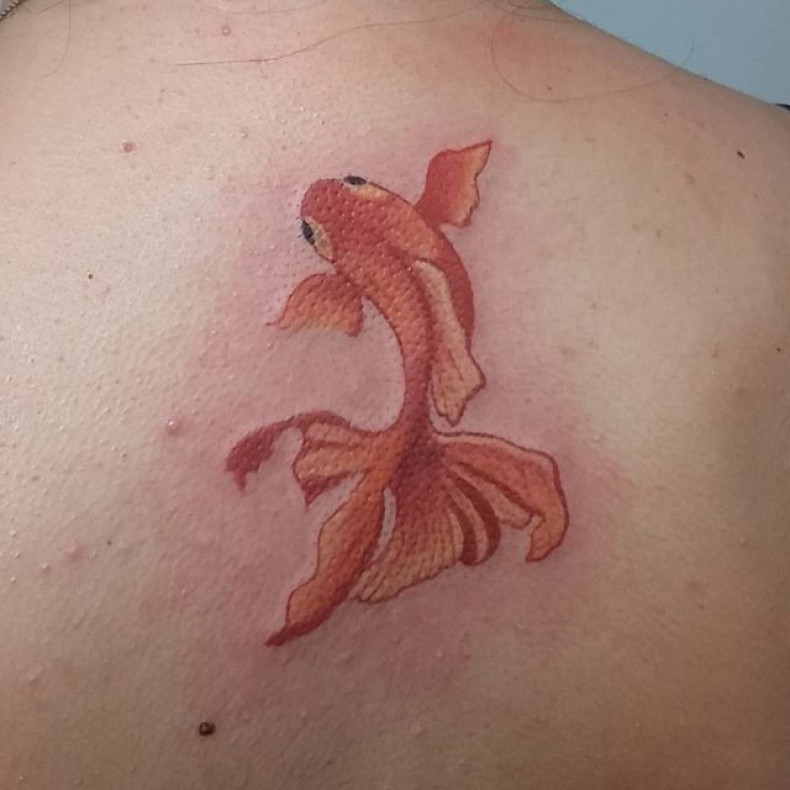 Gold fish back, photo - Tattoo Master Barb Tattoo