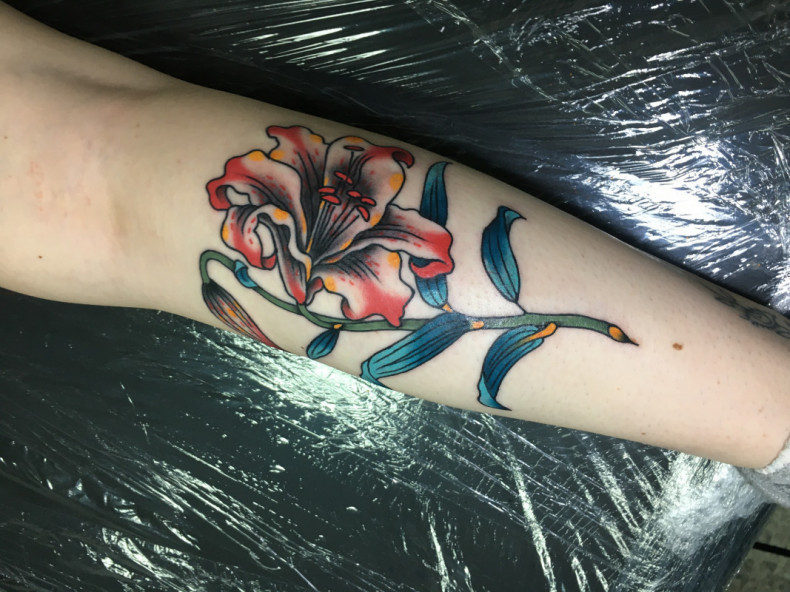 Lily colorful, photo - Tattoo Master Barb Tattoo