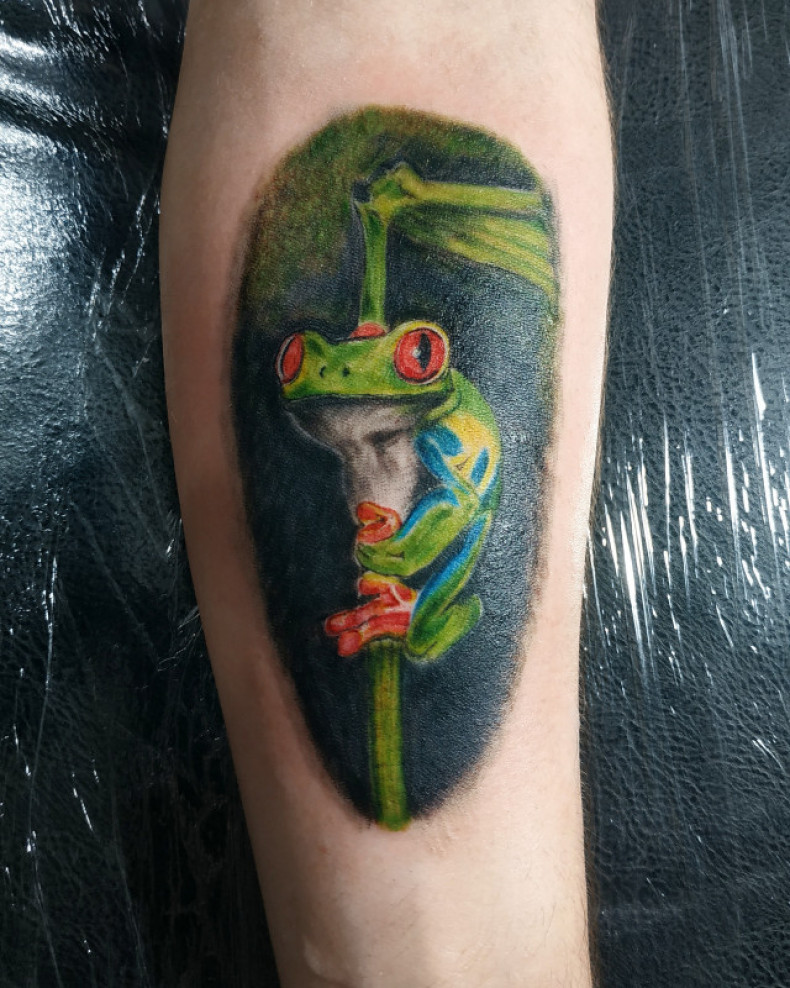 Frosch Realismus bunte, photo - Tattoo-Meister Barb Tattoo