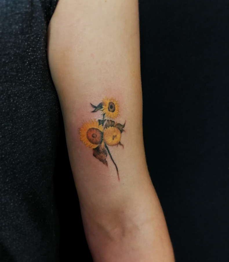 Słonecznik kolorowy, photo - Tatuażysta Barb Tattoo