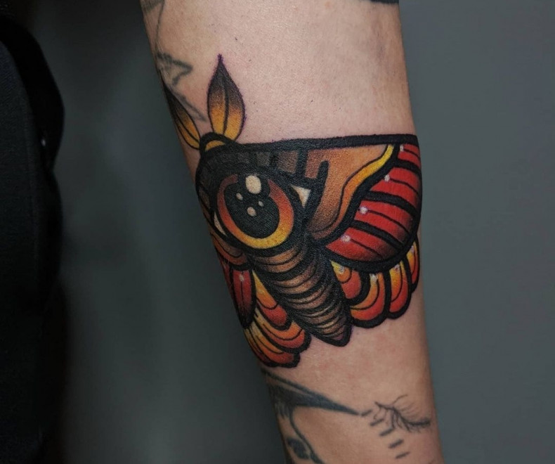 Moth colorful, photo - Tattoo Master Barb Tattoo