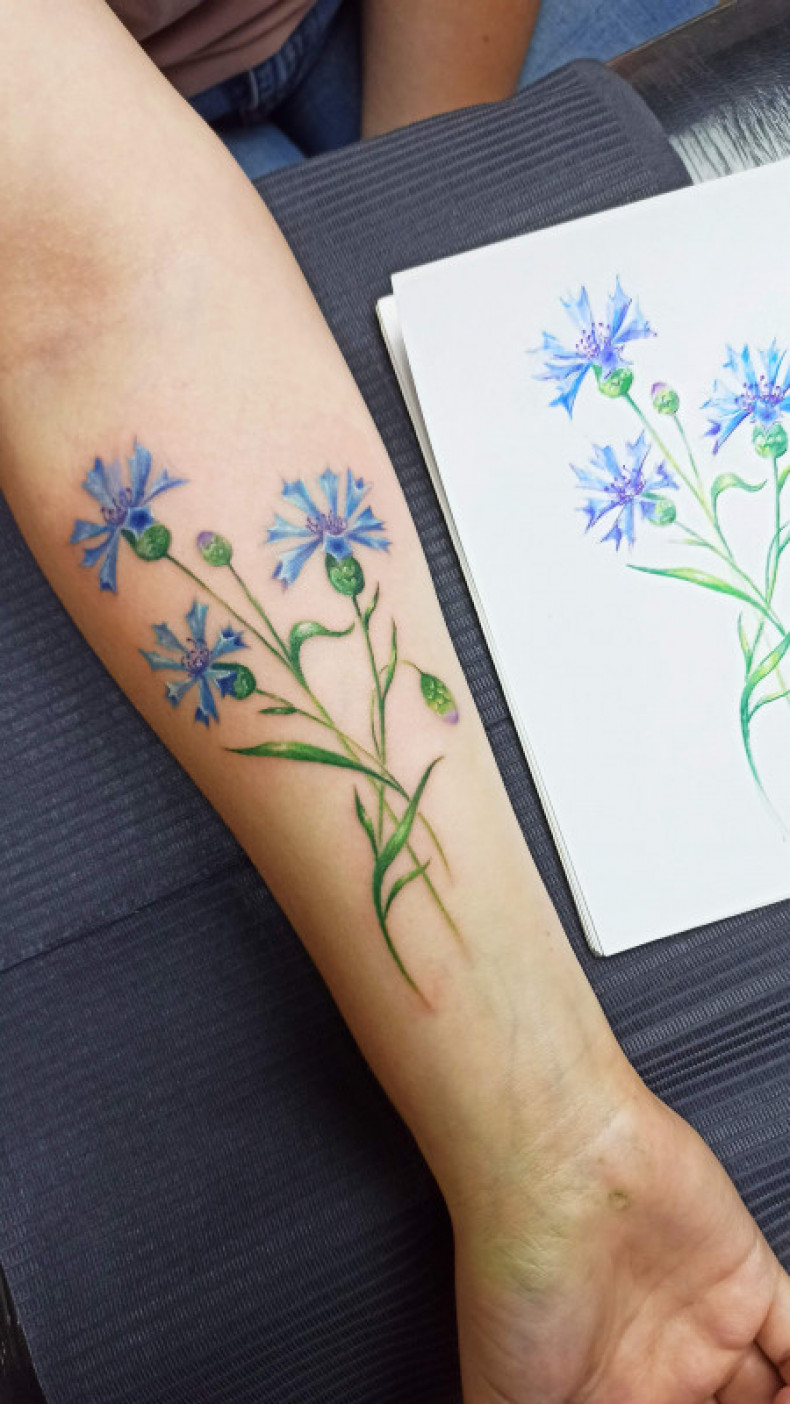 Watercolor cornflower colorful, photo - Tattoo Master Barb Tattoo