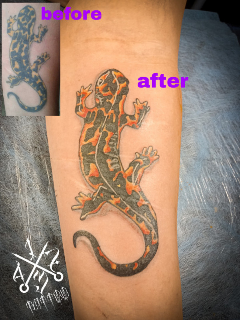 Erholung Salamander bunte, photo - Tattoo-Meister Barb Tattoo