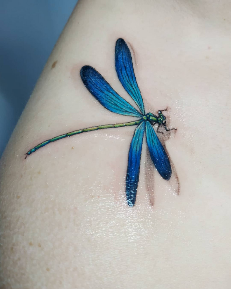 3d realism dragonfly, photo - Tattoo Master Barb Tattoo