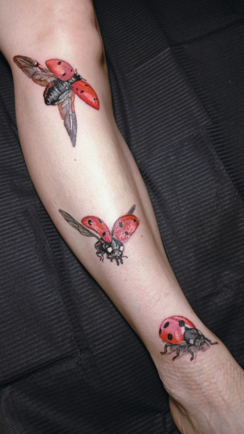 Ladybug insect colorful, photo - Tattoo Master Barb Tattoo