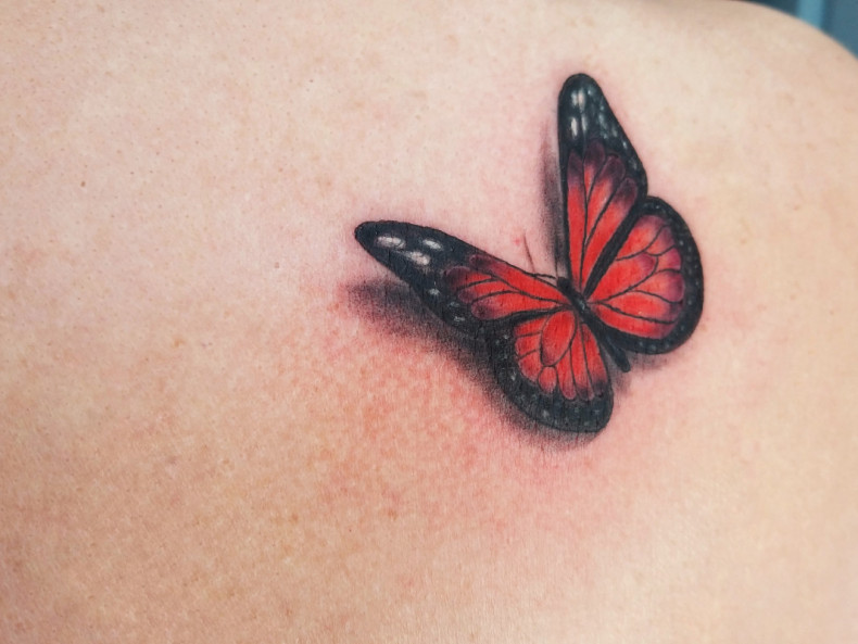 3d butterfly colorful, photo - Tattoo Master Barb Tattoo