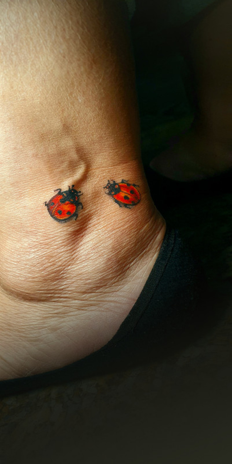 Ladybug colorful, photo - Tattoo Master Barb Tattoo