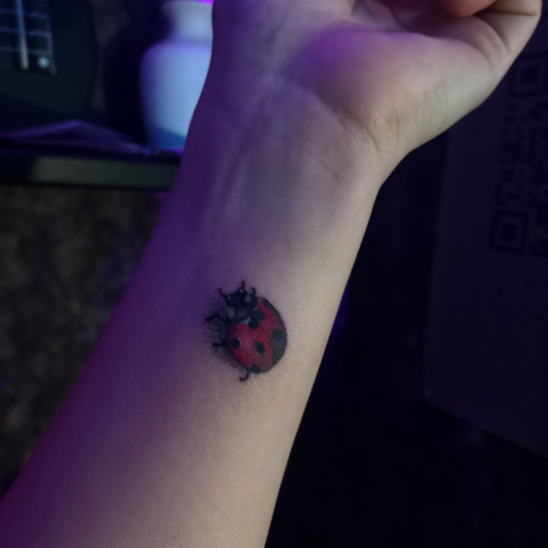 Ladybug colorful, photo - Tattoo Master Barb Tattoo