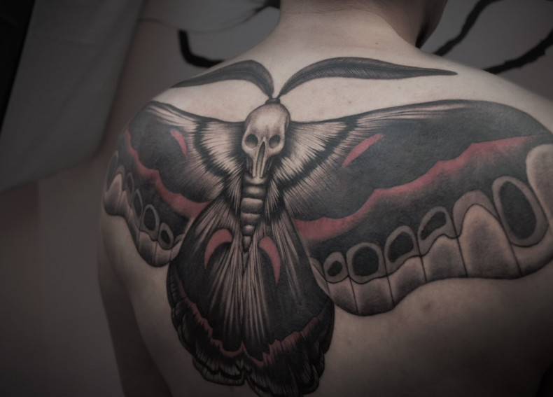 Black and grey big moth, photo - Tattoo Master Barb Tattoo