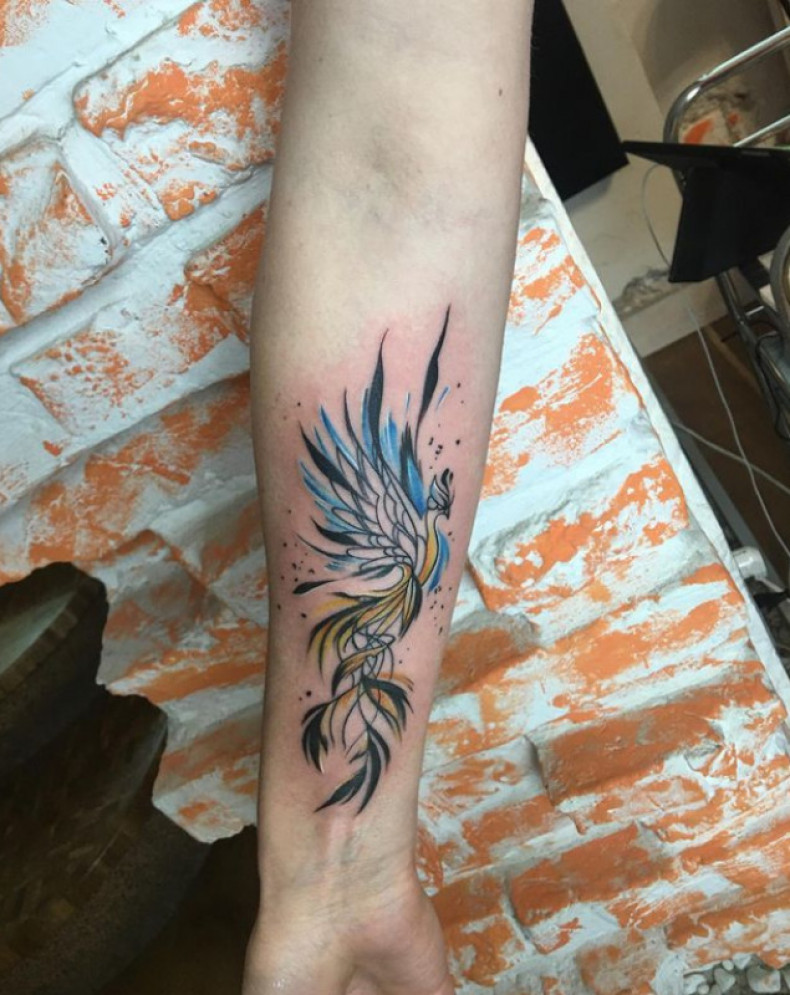 Phoenix colorful, photo - Tattoo Master Barb Tattoo