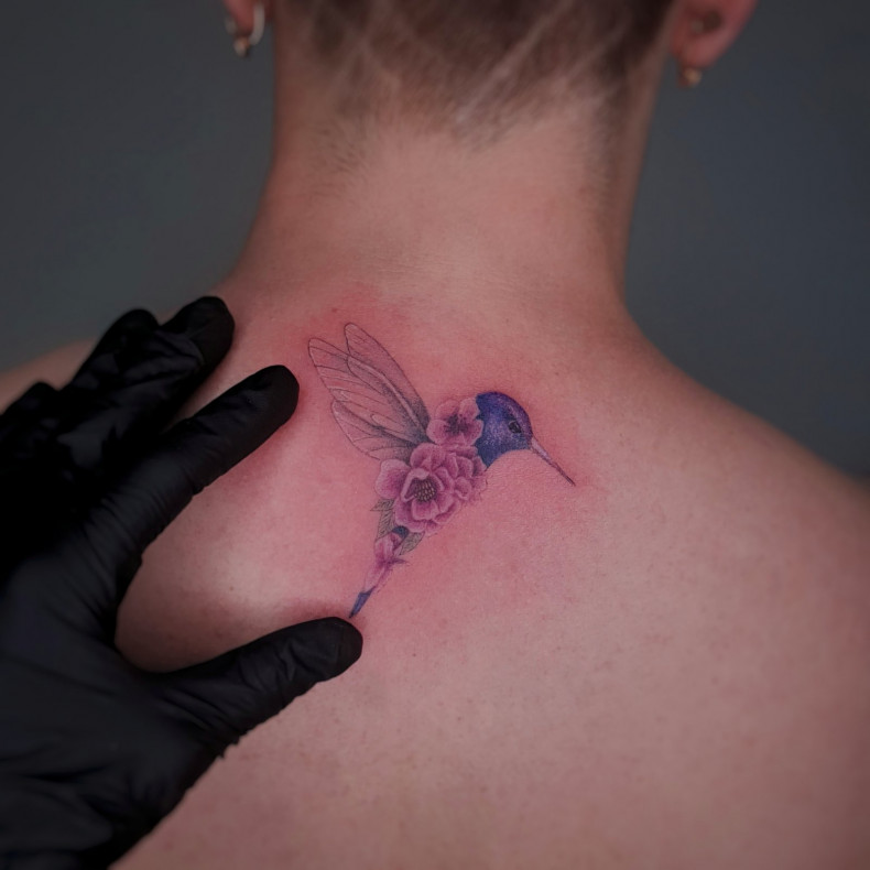 Колибри на спине цветные, photo - Тату мастер Barb Tattoo