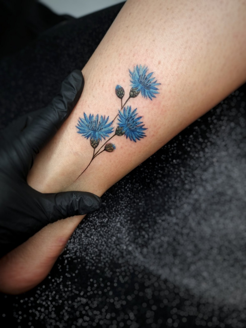 Watercolor cornflower colorful, photo - Tattoo Master Barb Tattoo