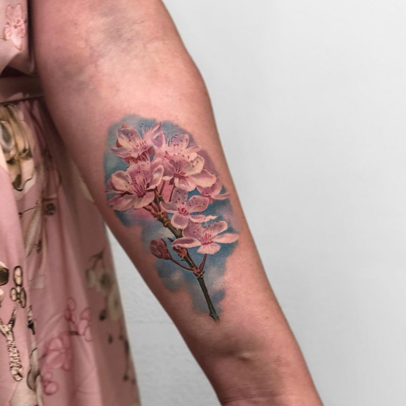 Sakura color tattoo, photo - Tattoo Master Barb Tattoo