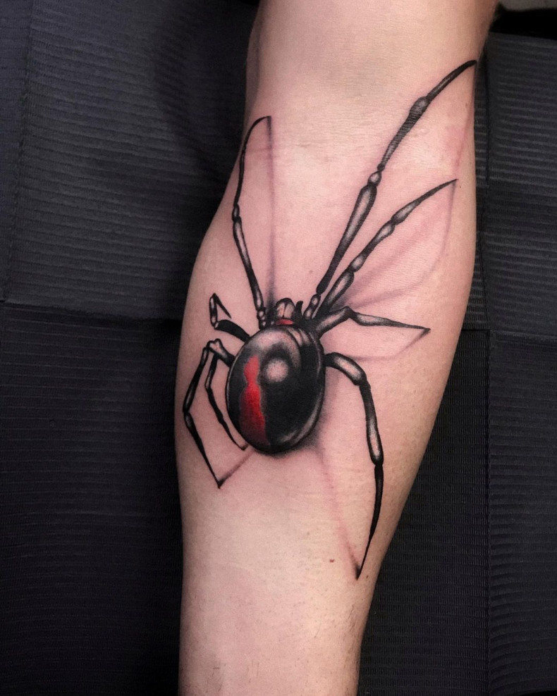 3d dotwork spider, photo - Tattoo Master Barb Tattoo