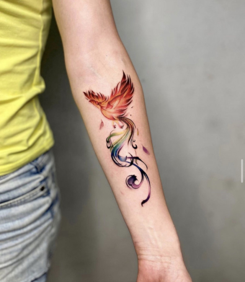 Акварель жар птица феникс, photo - Тату мастер Barb Tattoo