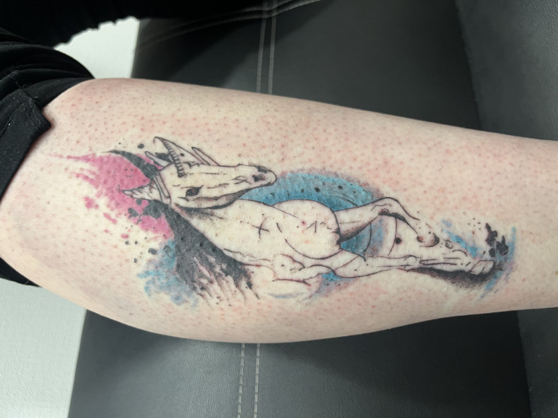 Watercolor horse colorful, photo - Tattoo Master Barb Tattoo