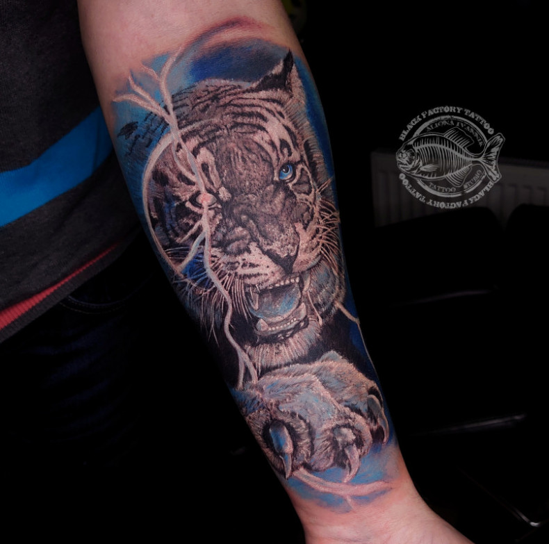 Cool Realismus Tiger, photo - Tattoo-Meister Barb Tattoo