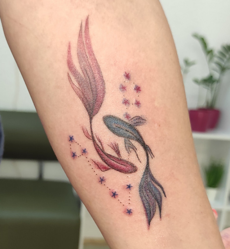 Carp constellation colorful, photo - Tattoo Master Barb Tattoo