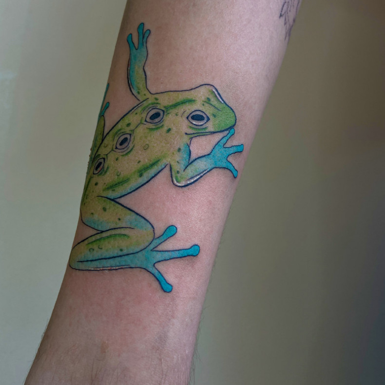 Żaba kolorowy, photo - Tatuażysta Barb Tattoo