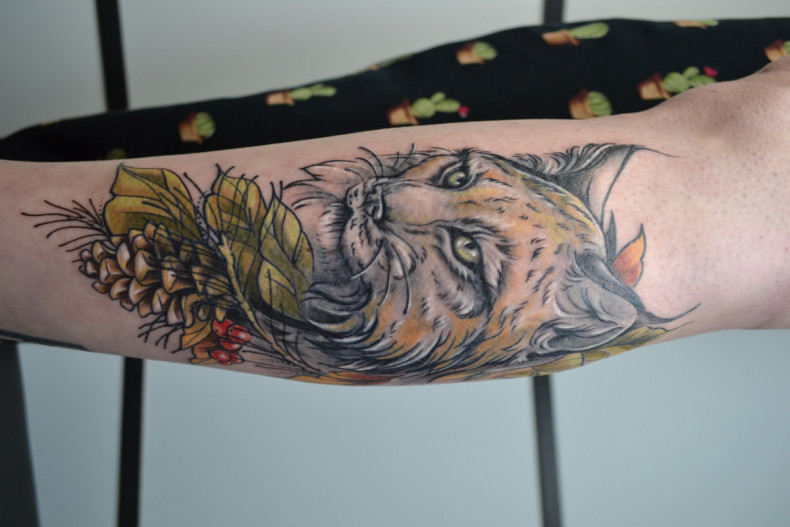 Lynx colorful, photo - Tattoo Master Barb Tattoo