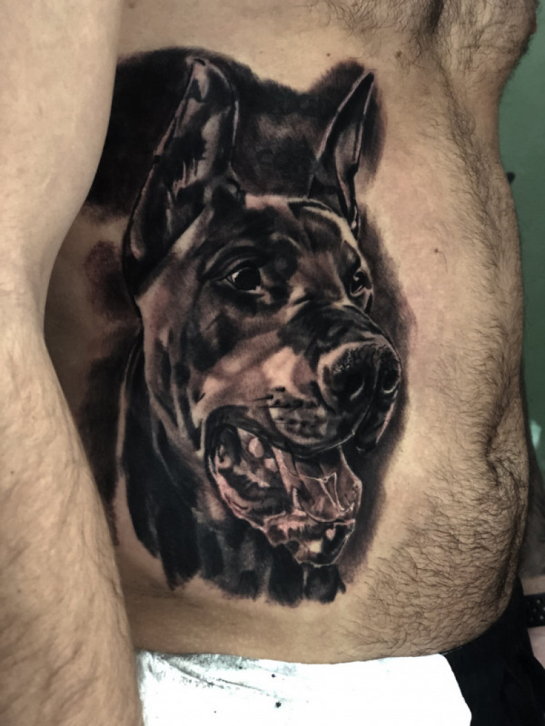 Blackwork doberman na boku, photo - Tatuażysta Barb Tattoo