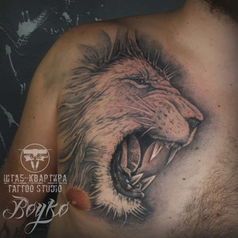 Роскошный лев на груди, 2 сеанса 260 дол)), photo - Тату мастер Barb Tattoo