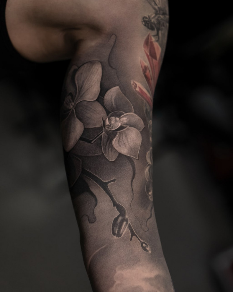 Schwarzgrau graue Wäsche orchidee, photo - Tattoo-Meister Barb Tattoo