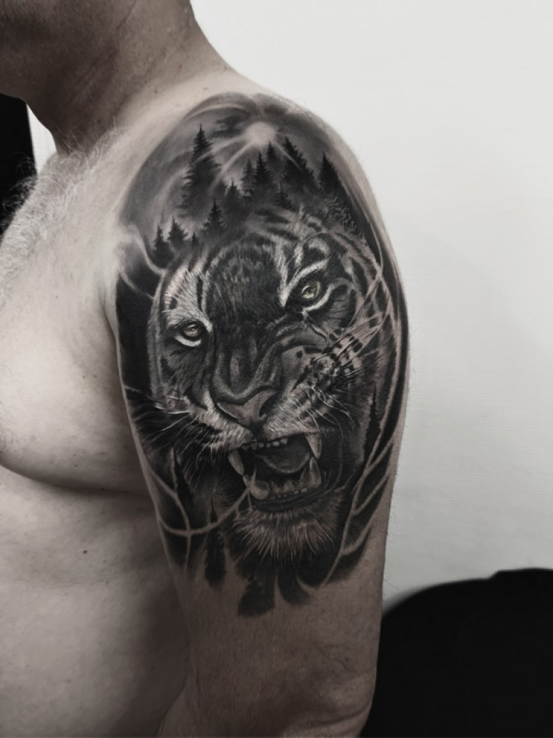 Cool Realismus Tiger, photo - Tattoo-Meister Barb Tattoo