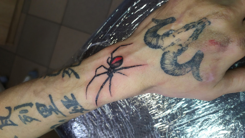 3d spider realism, photo - Tattoo Master Barb Tattoo