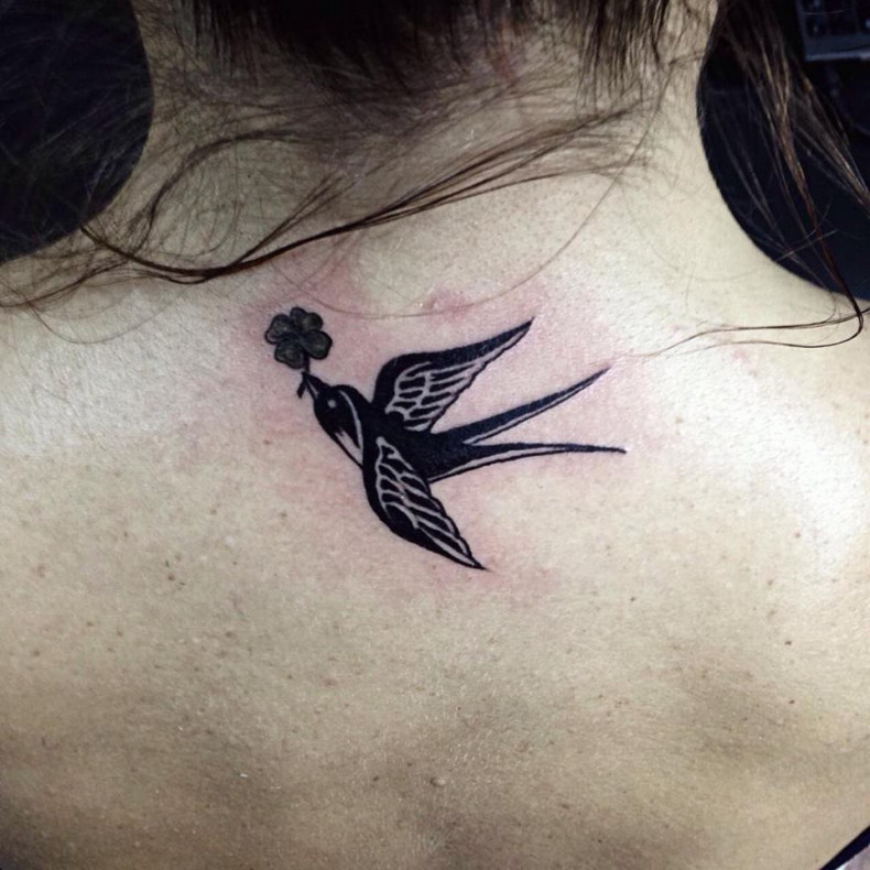 Клевер ласточка на спине, photo - Тату мастер Barb Tattoo