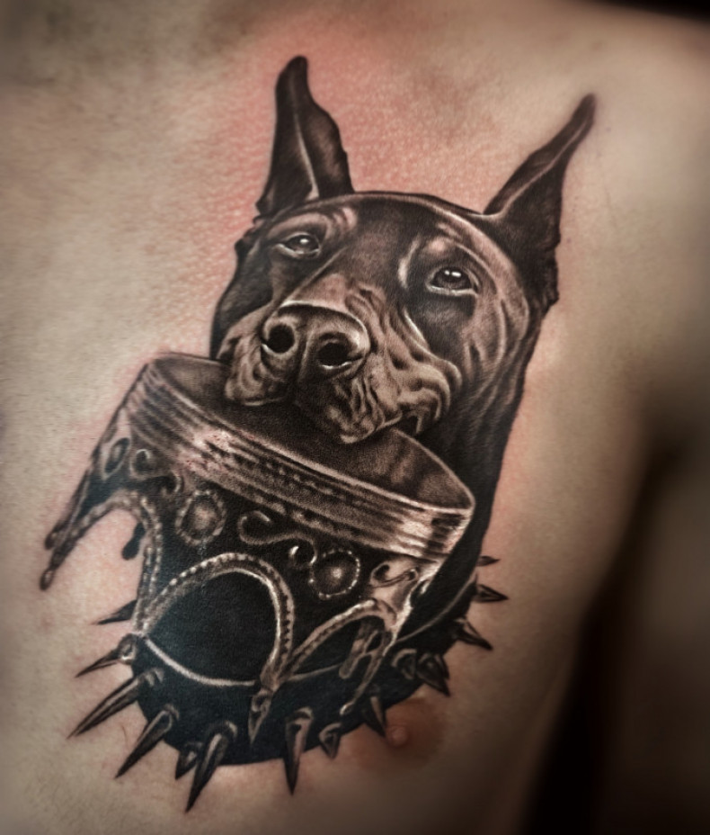 Doberman crown chest, photo - Tattoo Master Barb Tattoo