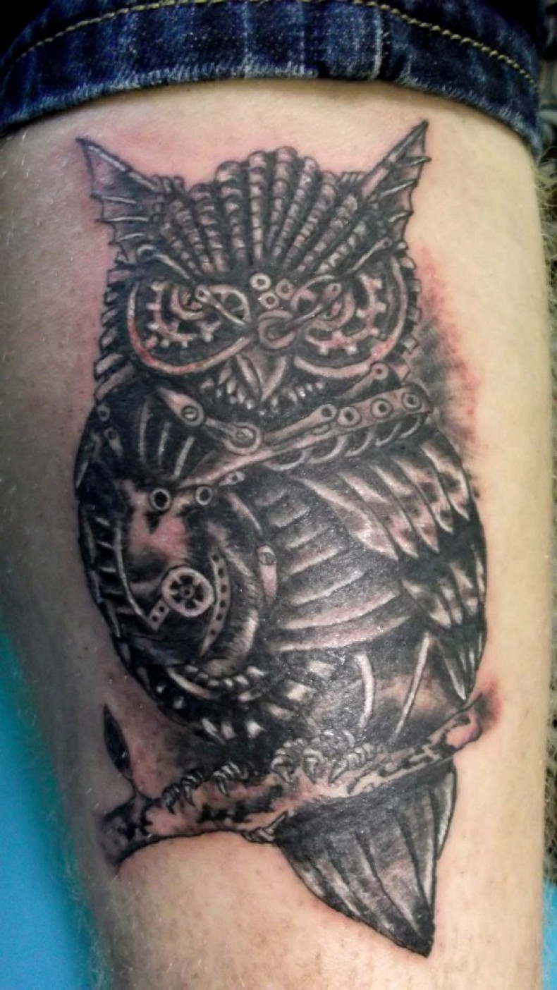 Steampunk Owl Tattoo, photo - Tattoo Master Barb Tattoo