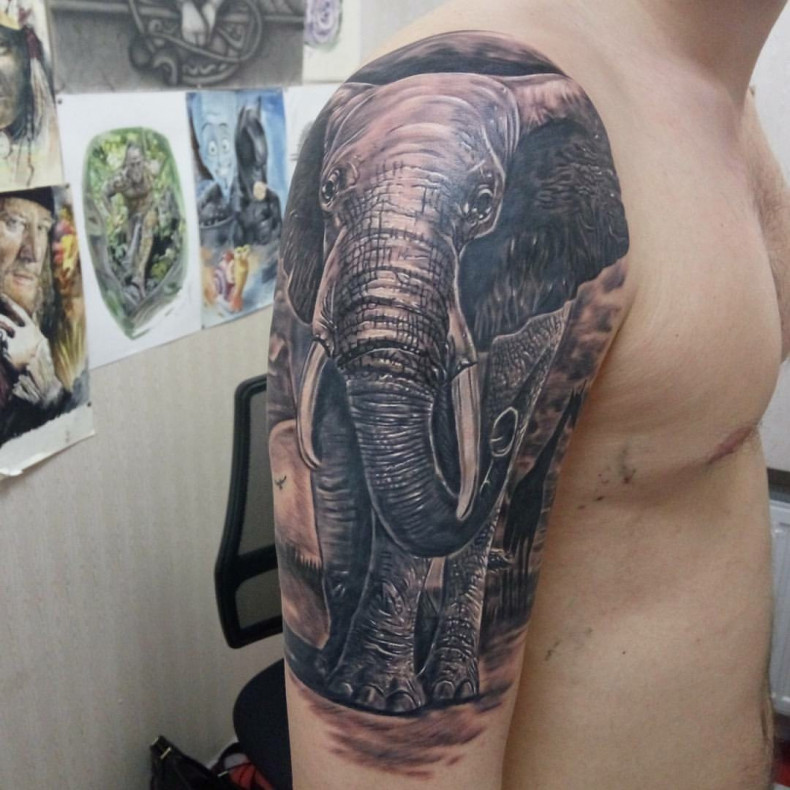 Слон, photo - Тату мастер Barb Tattoo