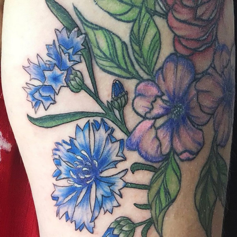 Kornblume Blumen, photo - Tattoo-Meister Barb Tattoo