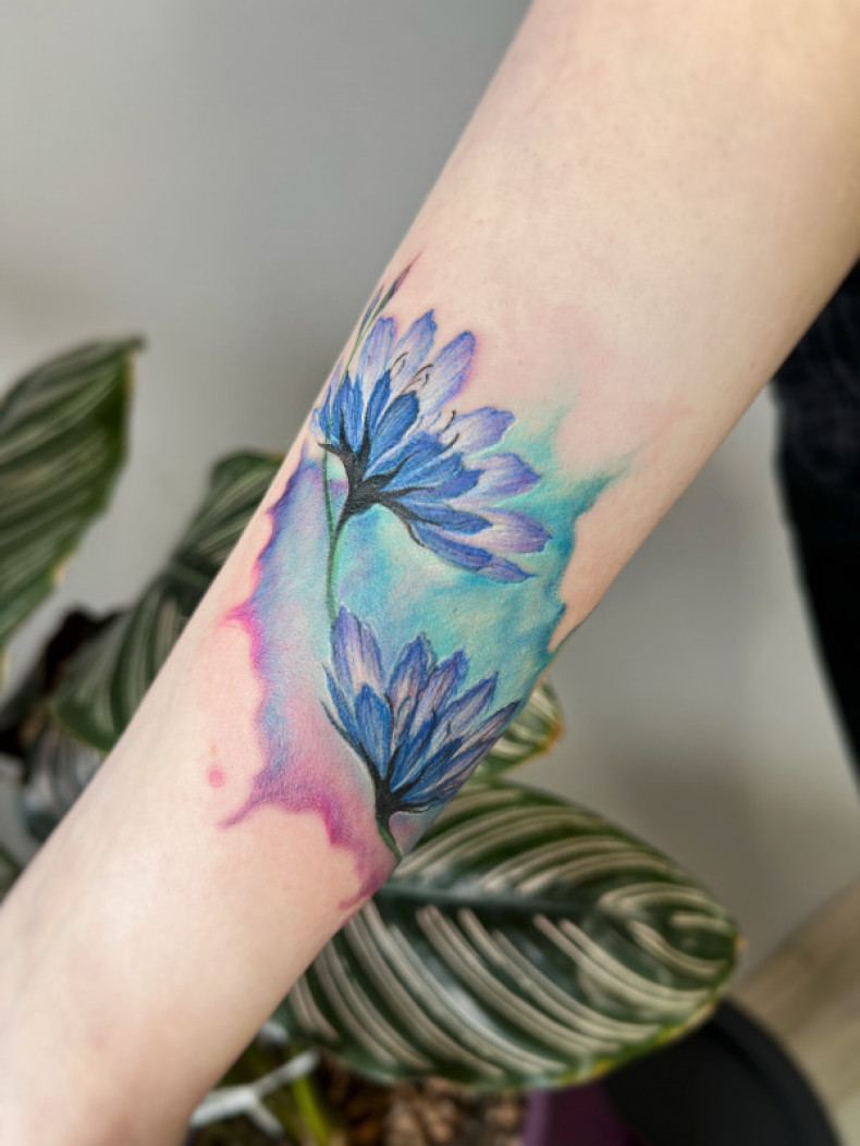 Watercolor cornflower floral, photo - Tattoo Master Barb Tattoo