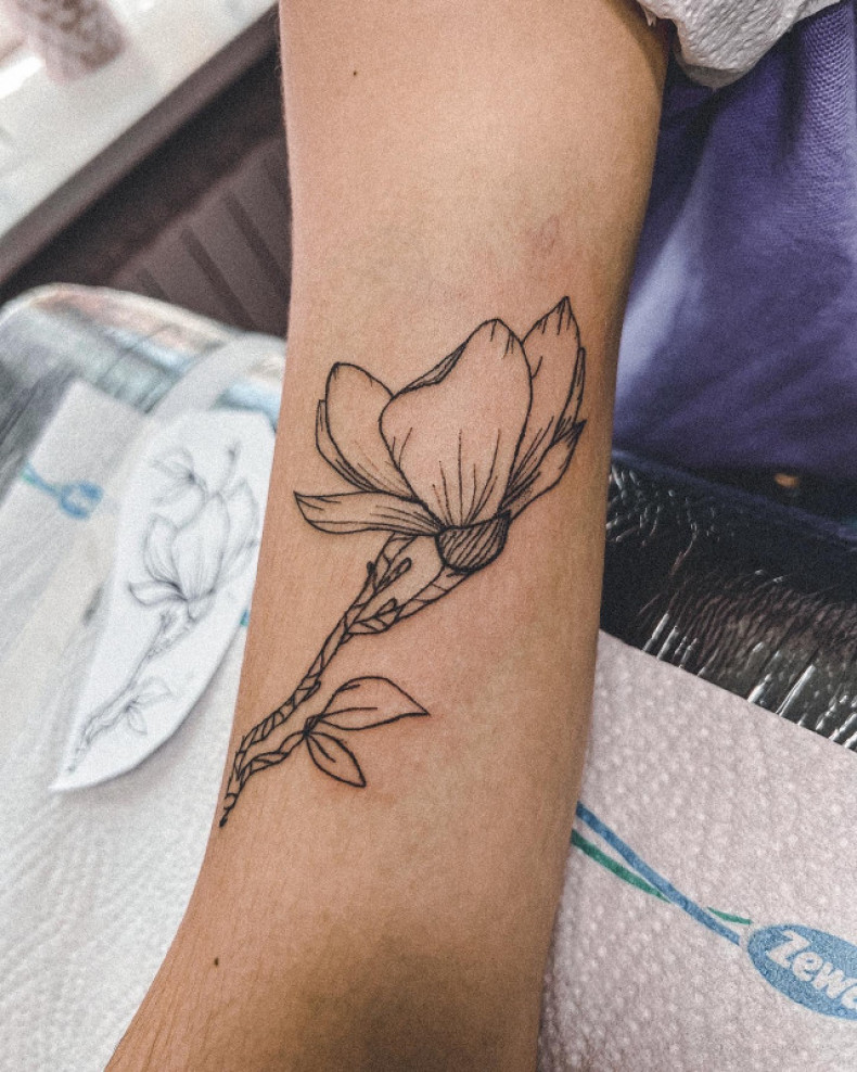 Магнолия цветы, photo - Тату мастер Barb Tattoo