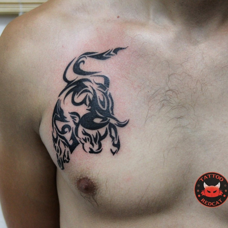 Buffalo bull chest, photo - Tattoo Master Barb Tattoo