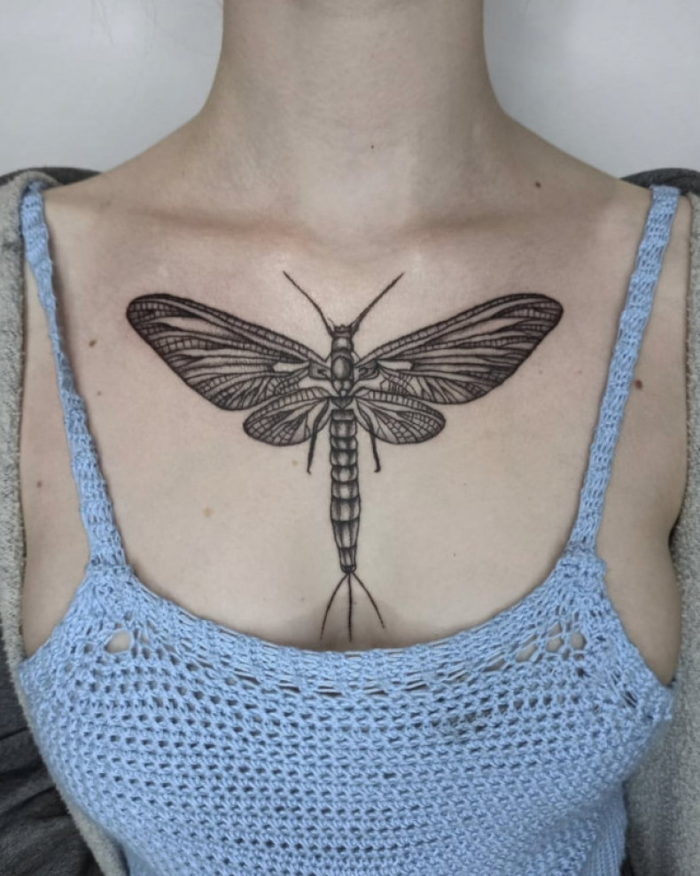 На груди насекомое стрекоза, photo - Тату мастер Barb Tattoo