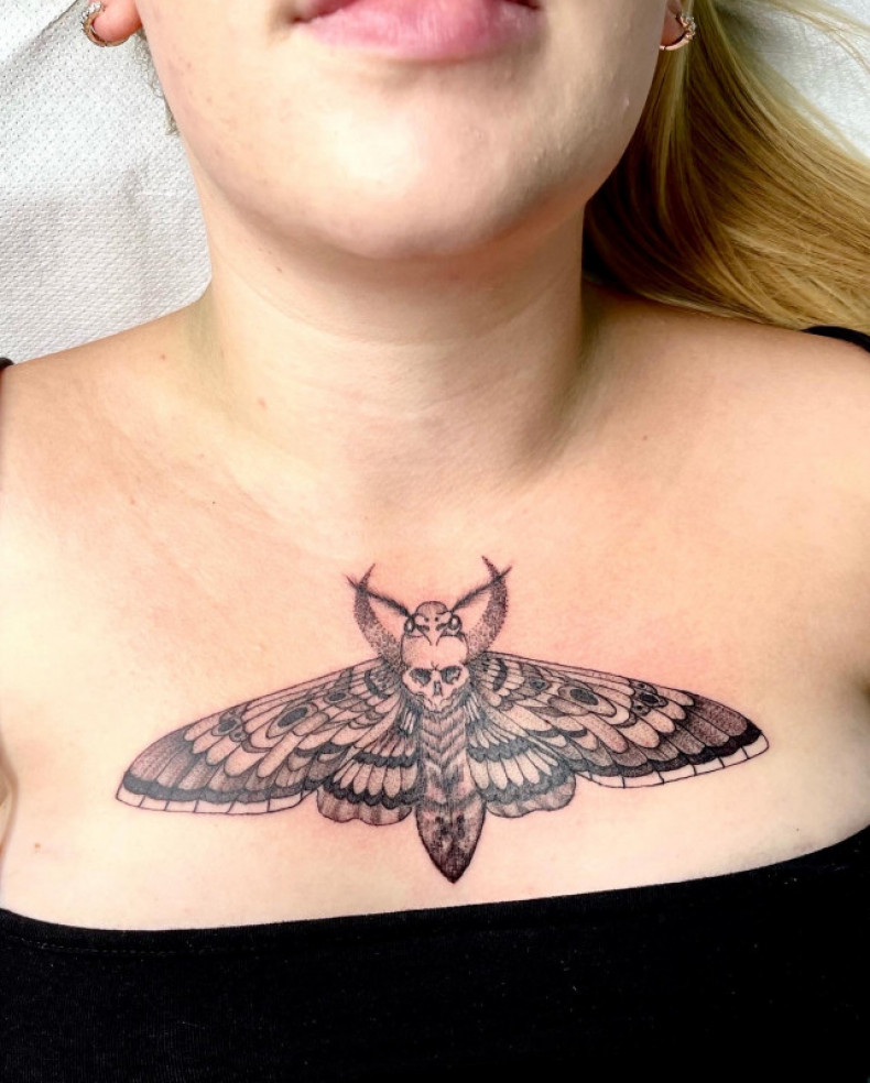 Moth chest, photo - Tattoo Master Barb Tattoo