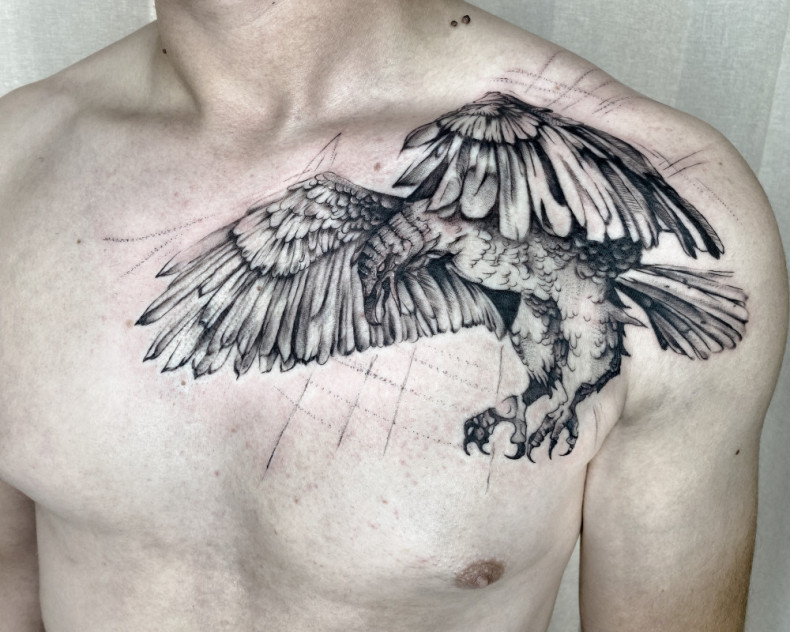 На груди орел скетч, photo - Тату мастер Barb Tattoo