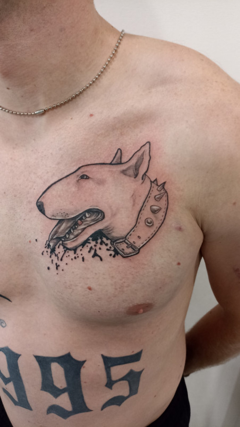 Bulterier klatka piersiowa pies, photo - Tatuażysta Barb Tattoo