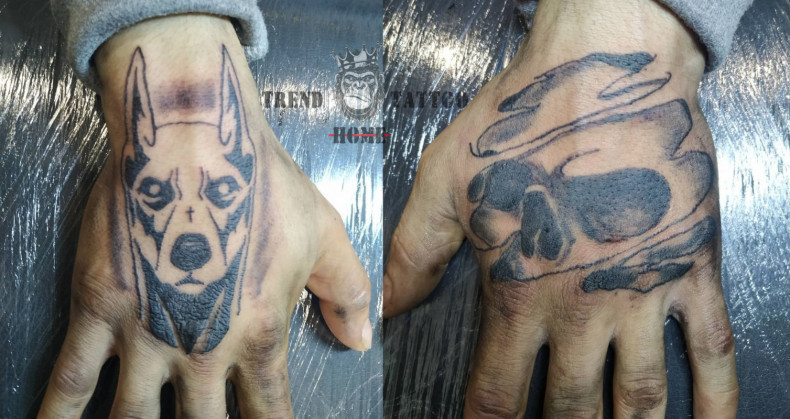 Doberman na dłoni pies, photo - Tatuażysta Barb Tattoo