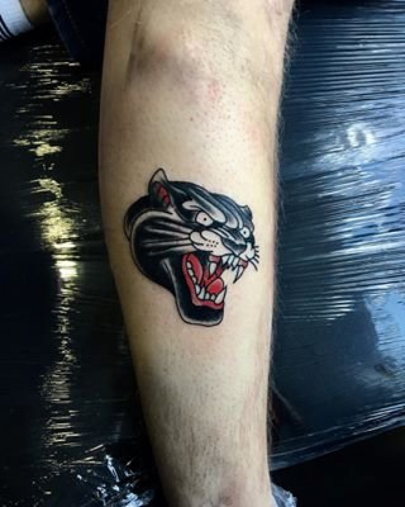 Old school panther, photo - Tattoo Master Barb Tattoo