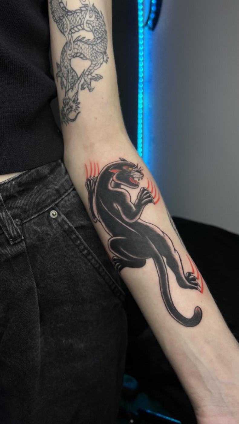 Old school panther, photo - Tattoo Master Barb Tattoo