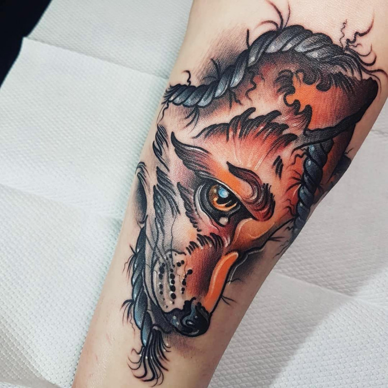 Fox, photo - Tattoo Master Barb Tattoo