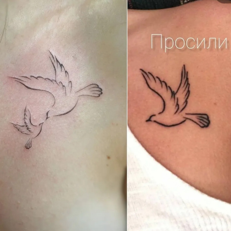 Pigeon minimalism bird, photo - Tattoo Master Barb Tattoo