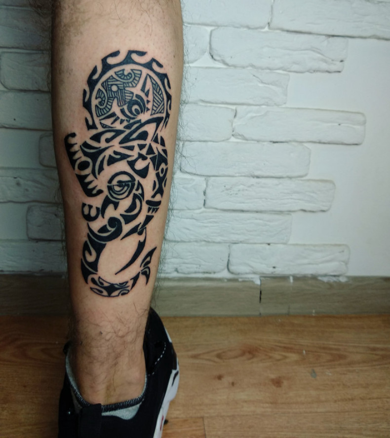 Wieloryb na łydce, photo - Tatuażysta Barb Tattoo