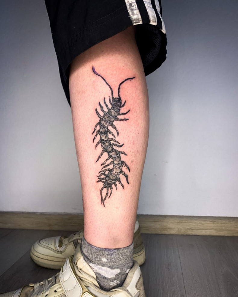 Calf centipede, photo - Tattoo Master Barb Tattoo