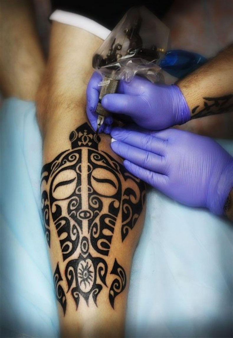 Polynesian turtle, photo - Tattoo Master Barb Tattoo